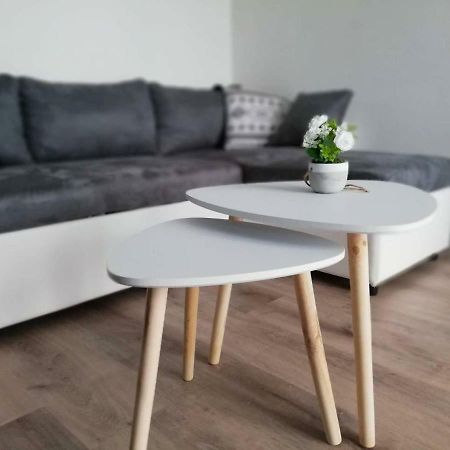 Appartement Cosy Proche Meteo France Et Airbus Toulouse Exterior photo