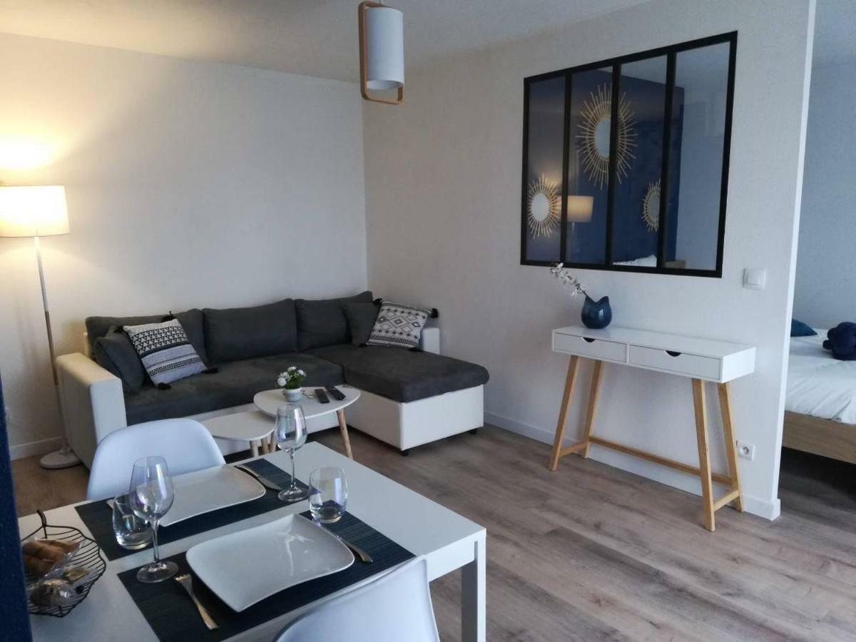 Appartement Cosy Proche Meteo France Et Airbus Toulouse Exterior photo