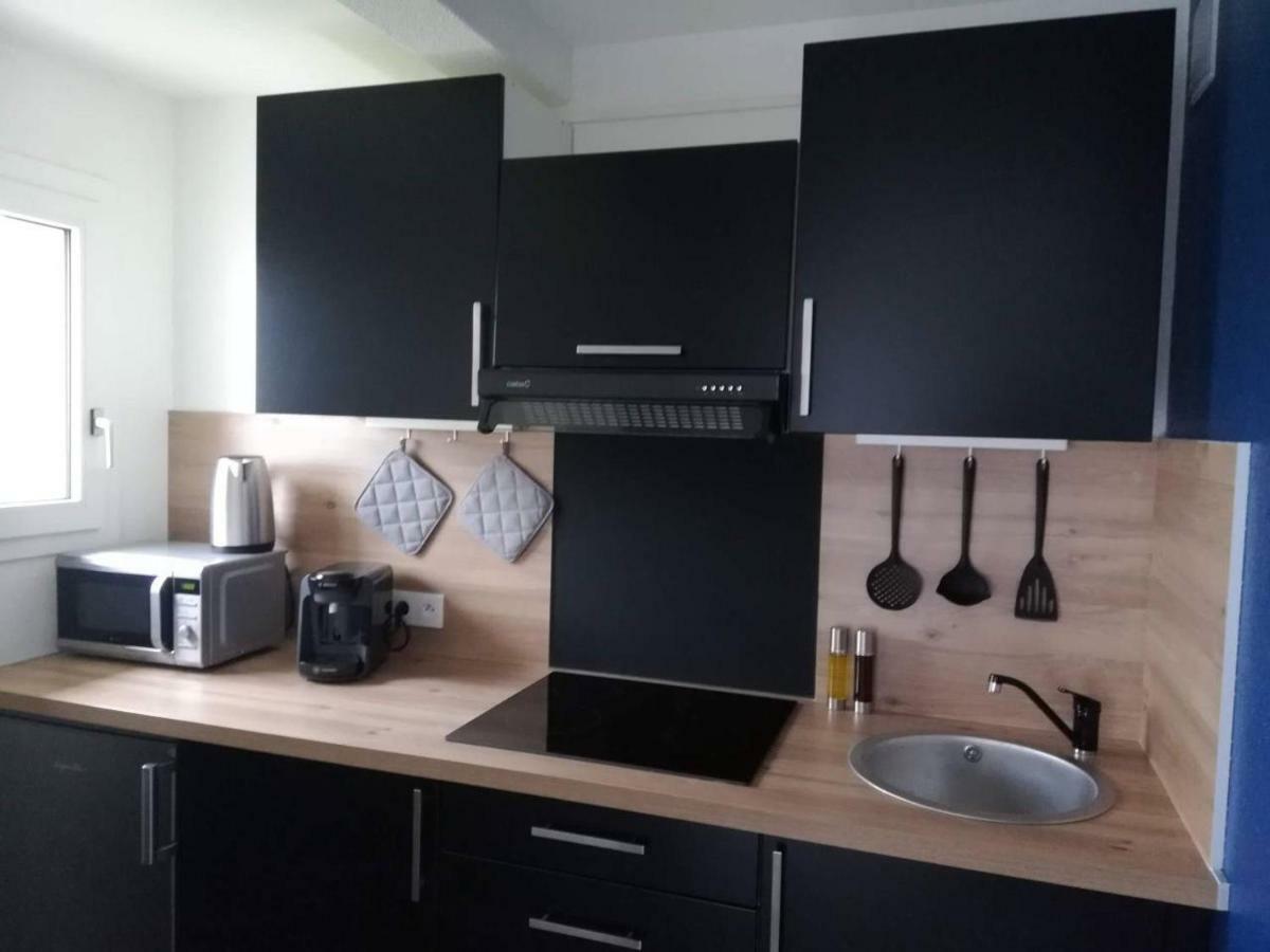Appartement Cosy Proche Meteo France Et Airbus Toulouse Exterior photo